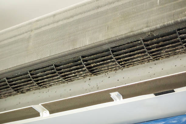 Best Affordable HVAC Duct Cleaning  in Enola, PA